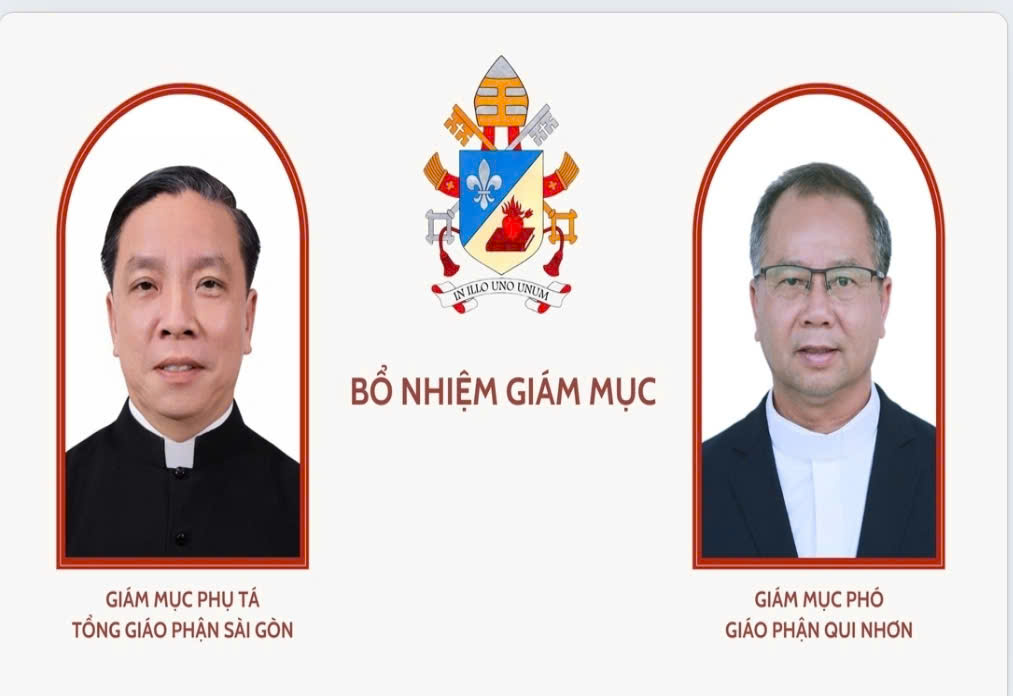 Bổ nhiệm Giám mục Phụ tá Tổng Giáo phận Sài Gòn - Thành phố Hồ Chí Minh, Giám mục phó Giáo phận Qui Nhơn
