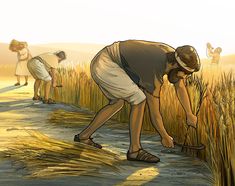 CHÚA NHẬT XVI THƯỜNG NIÊN, NĂM A
