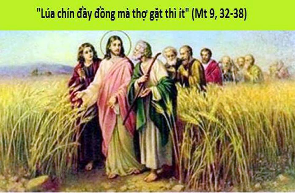 Thứ Ba Tuần XIV Thường Niên: Tin Mừng Nước Trời và Sự Sống