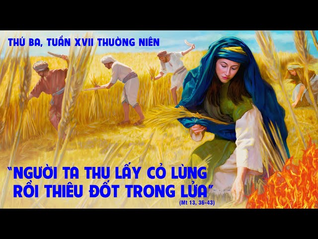 Thứ Ba tuần XVII Thường niên: Dụ Ngôn Cỏ Lùng Trong Ruộng