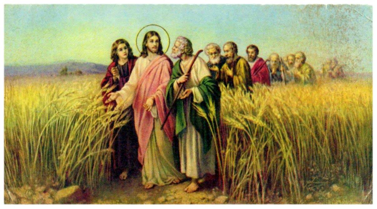 Các bài suy niệm Chúa Nhật XIV Thường niên, Năm C