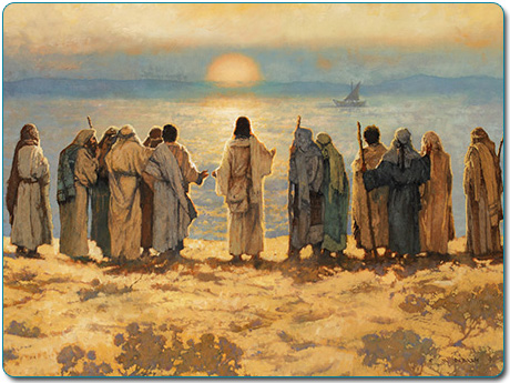 Vui học Thánh Kinh Chúa Nhật XIV Thường niên, năm C