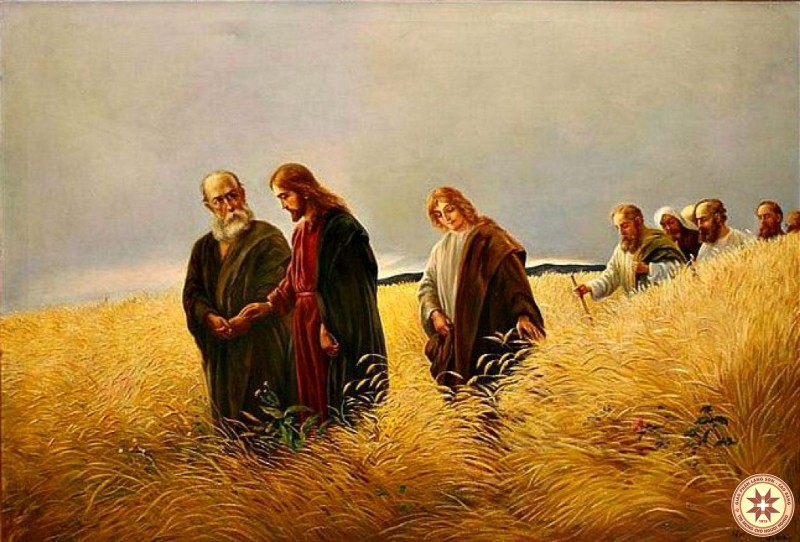 Thứ Bảy tuần 22 Thường niên