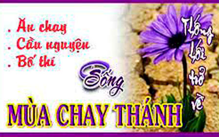 Vui Học Thánh Kinh Chúa Nhật I Mùa Chay - Năm C