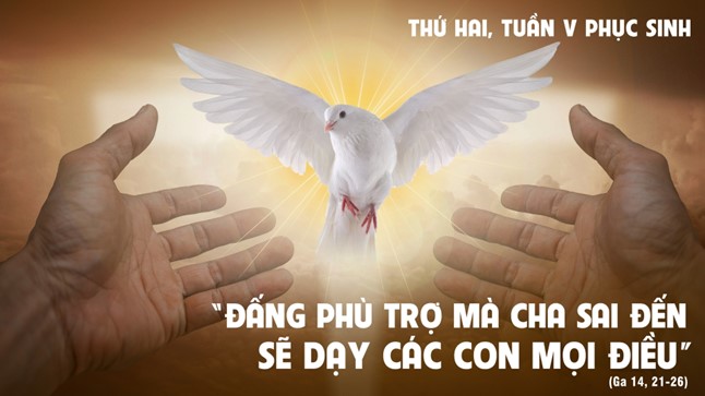 Thứ Hai tuần V Phục Sinh: Công trình của Thiên Chúa, là tin vào Đấng Người đã sai đến