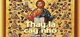 Thứ Tư tuần Nhật V Mùa Phục Sinh: “Thầy là cây nho, anh em là cành”