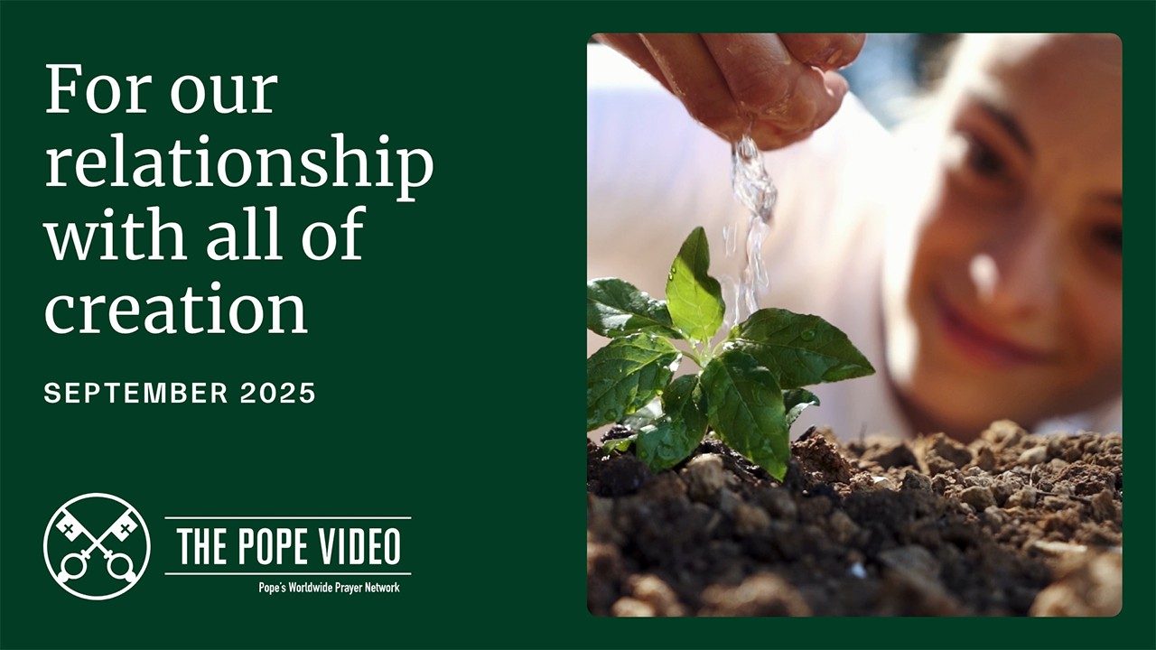 Video ý cầu nguyện của ĐTC Lêô XIV trong tháng 9: Cầu cho tương quan của chúng ta với toàn thể thụ tạo