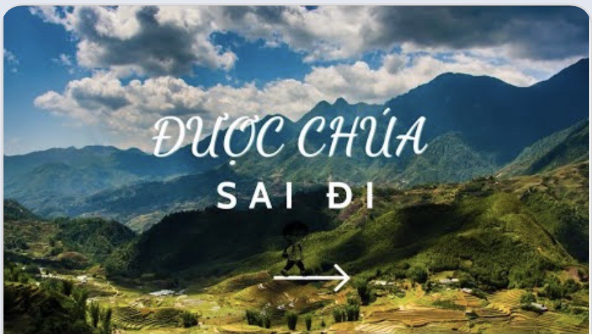 Suy niệm Lời Chúa, Chúa Nhật XIV Thường niên, năm C: Được Chúa Sai đi