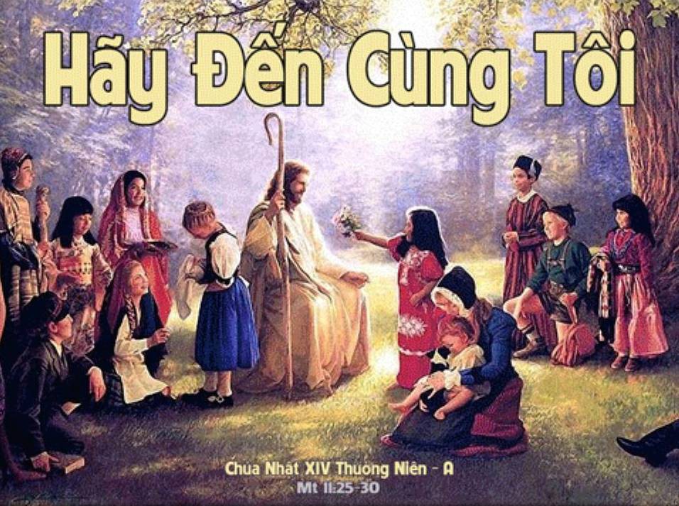 Chúa Nhật XIV Thường niên, năm A: Tất cả những ai đang vất vả mang gánh nặng nề, hãy đến cùng Tôi!
