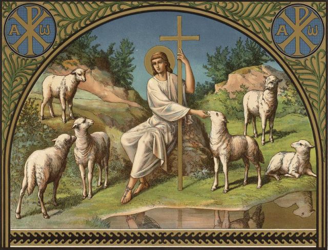 Các Bài Suy Niệm Chúa Nhật IV Phục Sinh - Năm C