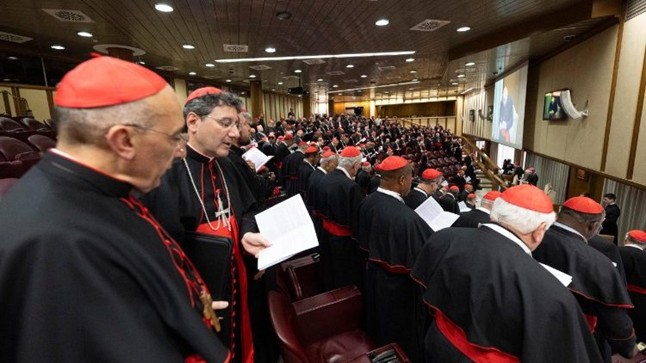 Phiên họp chung thứ 11 của Hồng y đoàn: Các Hồng y tiếp tục suy tư và phác họa hình ảnh của một "Giáo hoàng mục tử"
