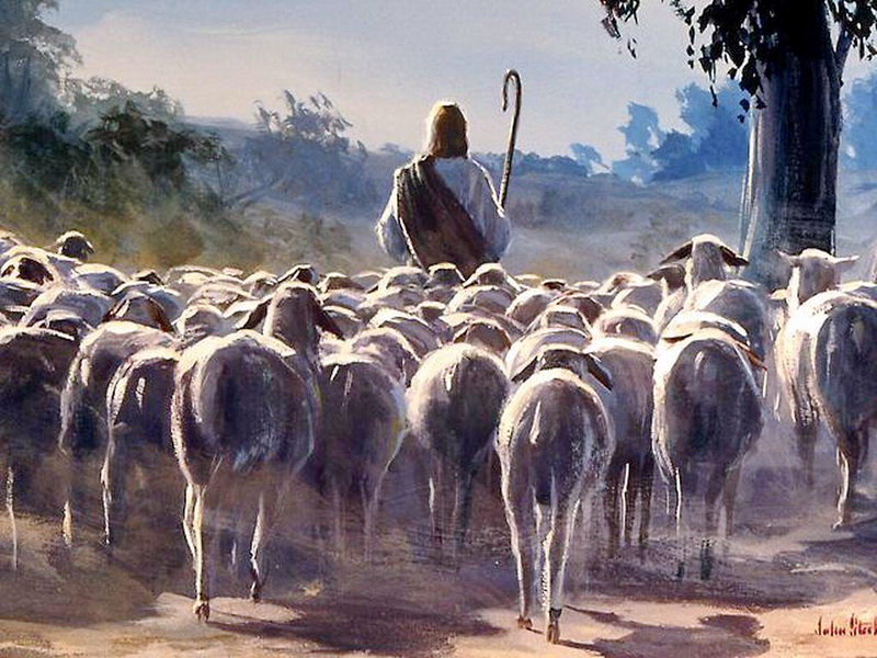 Các bài Suy niệm Chúa Nhật 4 Phục Sinh, năm C: CHÚA NHẬT CHÚA CHIÊN LÀNH