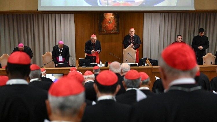 Phiên họp chung thứ 12: các Hồng y chú trọng vào các phẩm chất cần thiết của Giáo hoàng tương lai