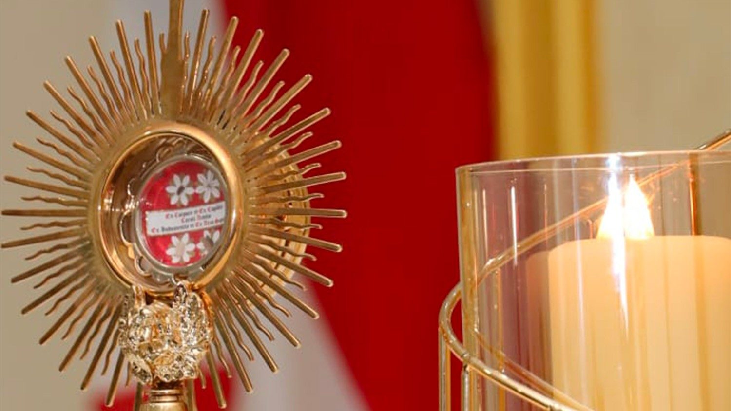 Thánh tích của Chân phước Acutis được đưa đến nhiều nước châu Á trước ngày tuyên thánh