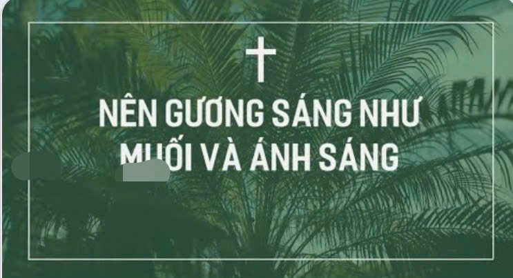 Suy niệm Lời Chúa, Chúa Nhật V Thường niên, năm A: nên gương sáng như muối và ánh sáng