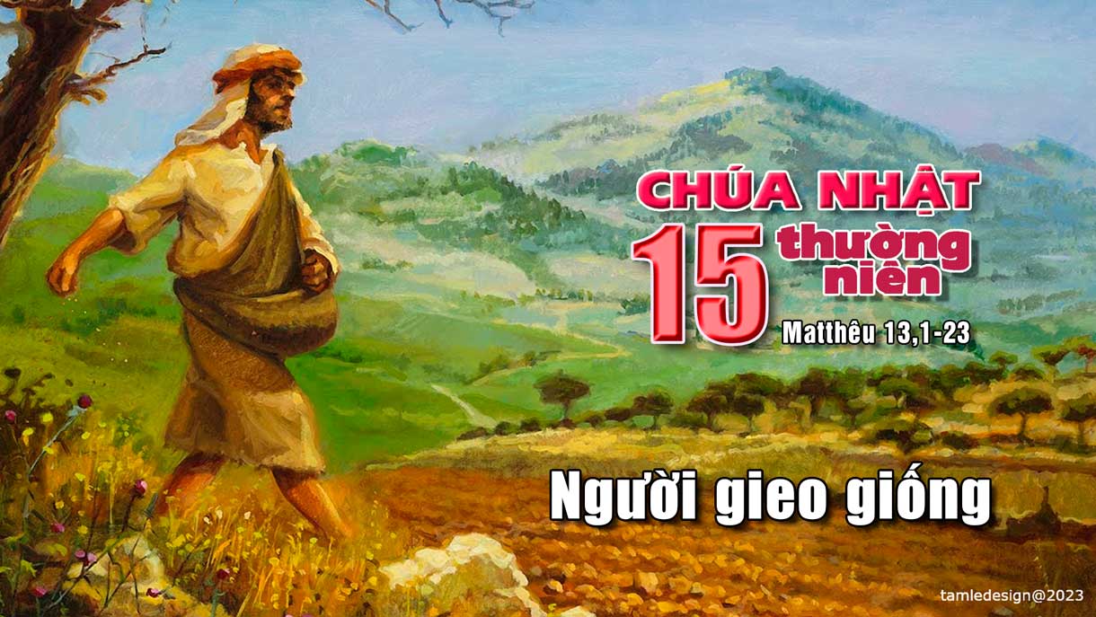 Chúa nhật XV Thường Niên, năm A