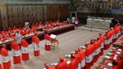 Bắt đầu Mật nghị bầu vị Giáo hoàng thứ 267 của Giáo hội