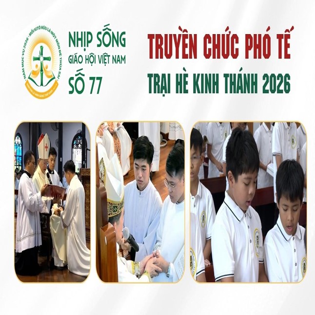 Truyền chức phó tế - Trại hè Kinh thánh 2026: Nhịp sống Giáo hội Việt Nam số 77 (01/6/2026 - 08/6/2026)