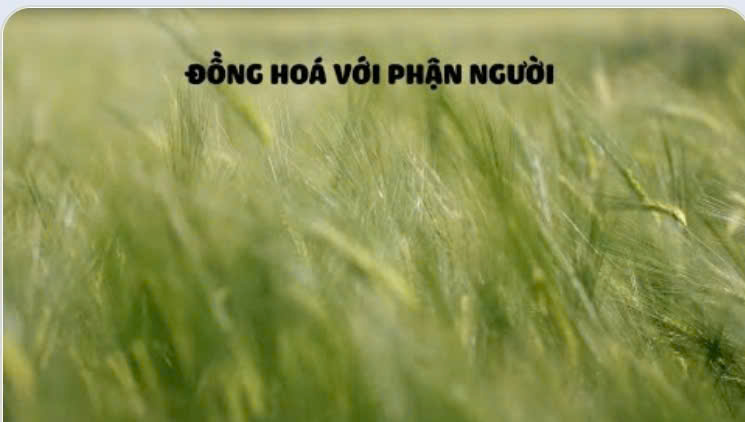Suy niệm Lời Chúa, lễ Chúa chịu Phép rửa, năm A: ĐỒNG HOÁ VỚI PHẬN NGƯỜI