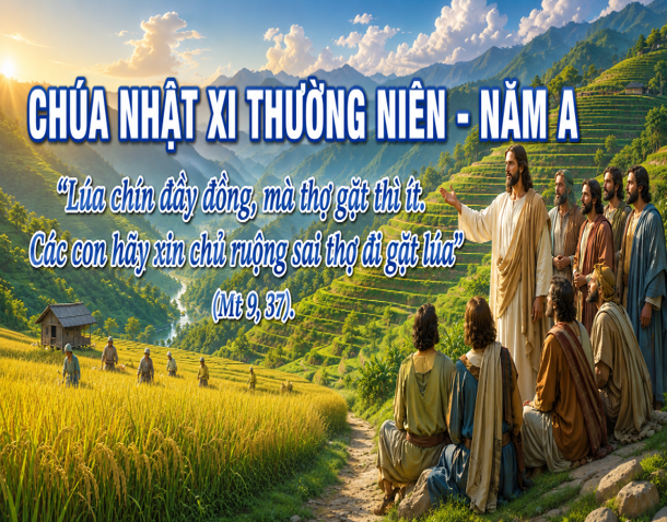 Các Bài Suy Niệm Chúa Nhật XI Thường, Niên A