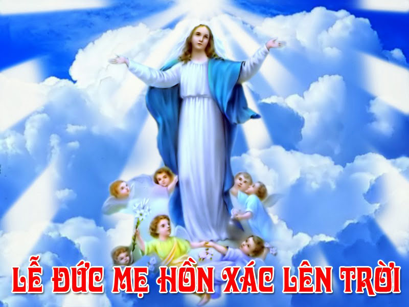 Các Bài Suy Niệm Lễ Đức Maria Hồn Xác Lên Trời
