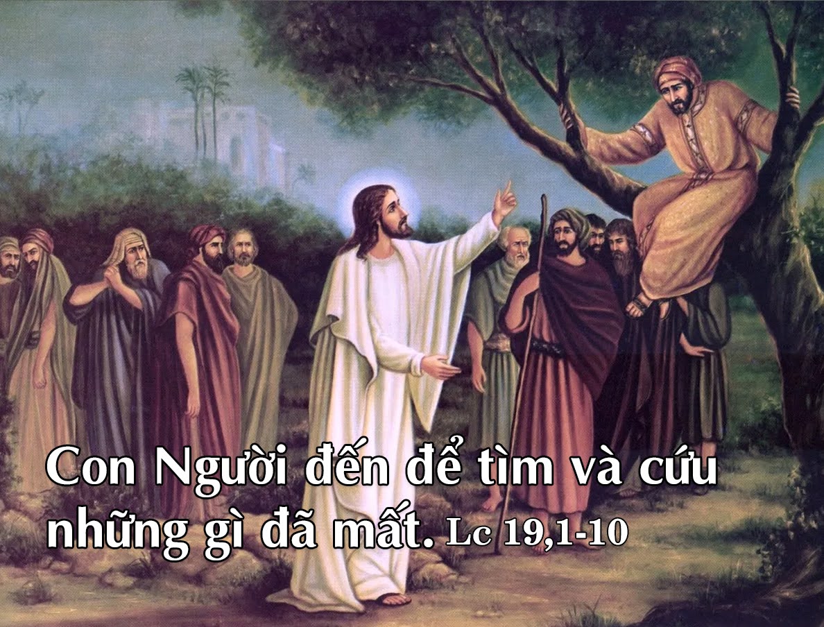 Thứ Ba tuần XXXIII Thường niên: “Con Người đến để tìm và cứu những gì đã mất”