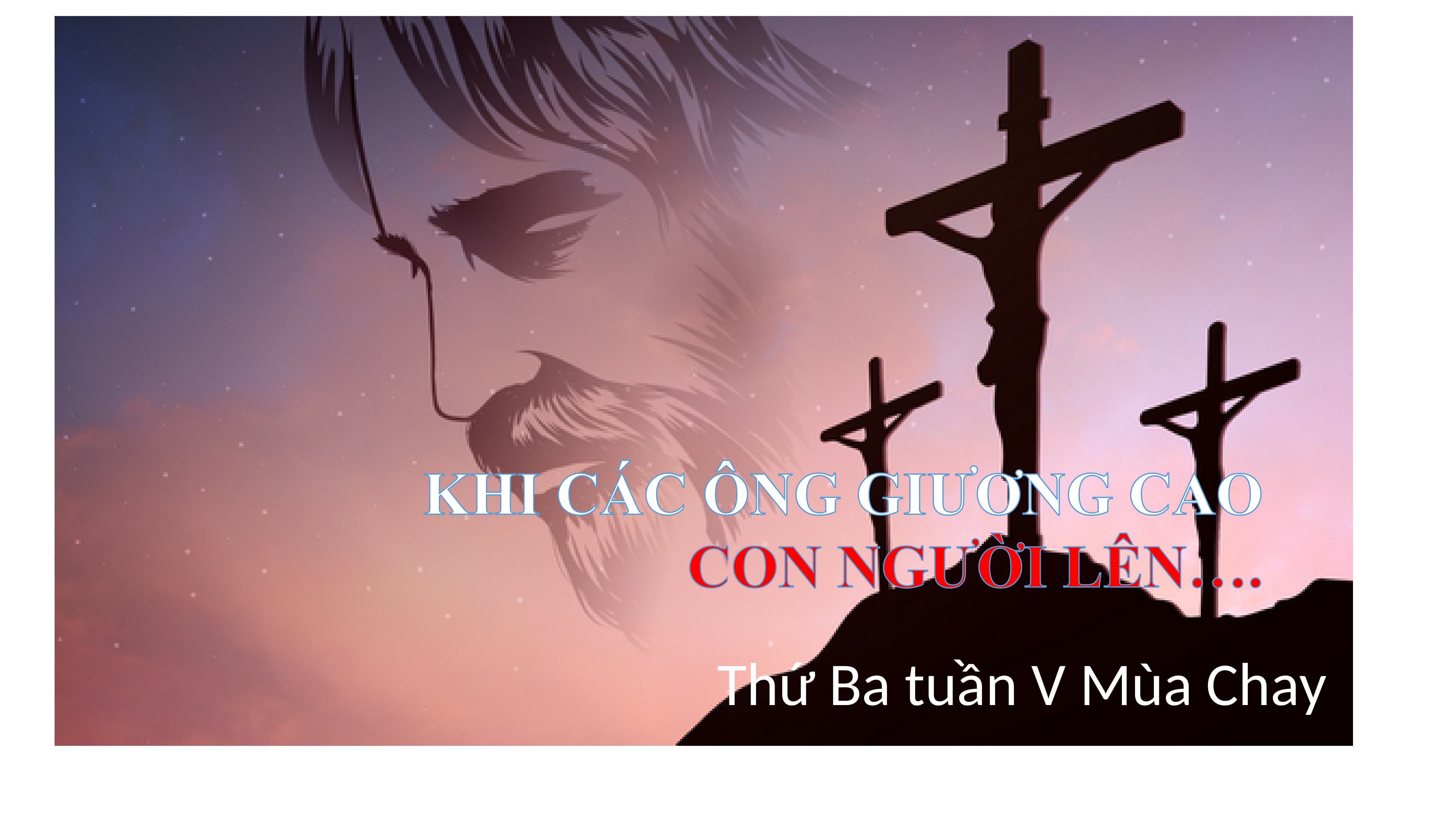 Thứ Ba tuần V Mùa Chay: Khi các ông giương cao Con Người lên…