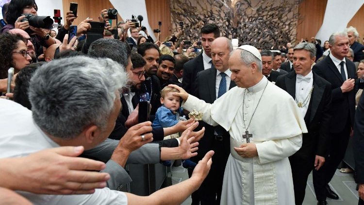 Đức Thánh Cha Lêô XIV: Hãy giải trừ vũ khí trong lời nói và chúng ta sẽ giúp giải trừ vũ khí trên Trái Đất