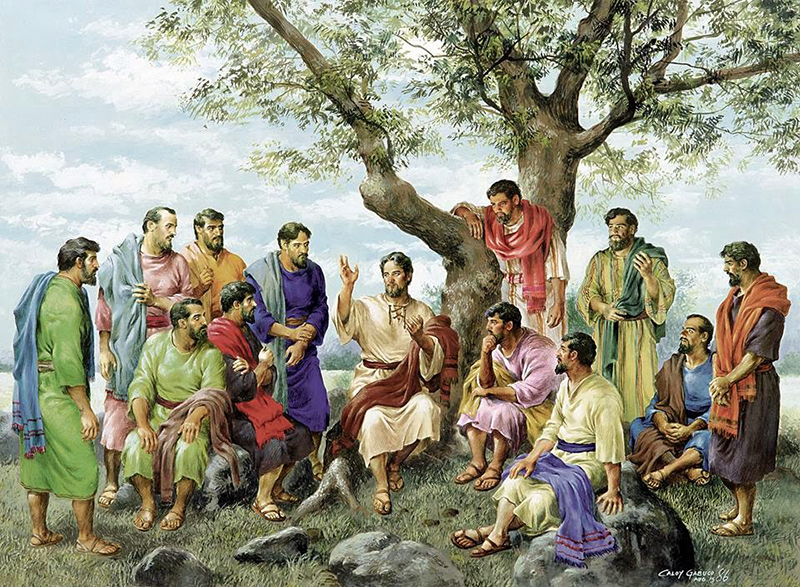 Vui học Kinh Thánh: Chúa Nhật XII Thường niên, năm A
