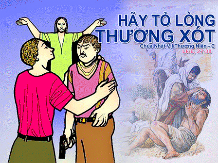 Vui học Thánh kinh chúa nhật 7 thường niên c