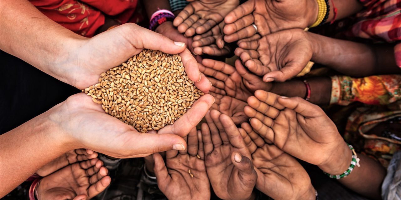 Mục Vụ Giáo Xứ tại Giáo phận Lạng Sơn – Cao Bằng: Gần Gũi, Quan Tâm, và Bác Ái