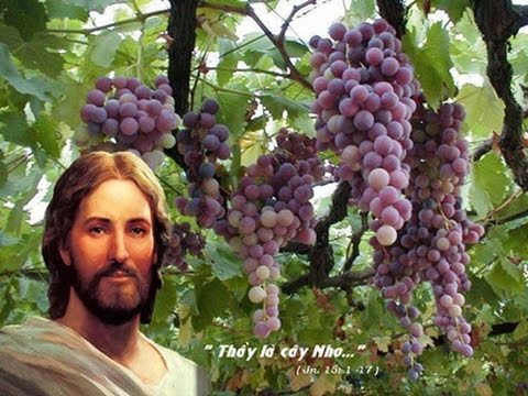 Thứ Tư tuần 5 Phục Sinh