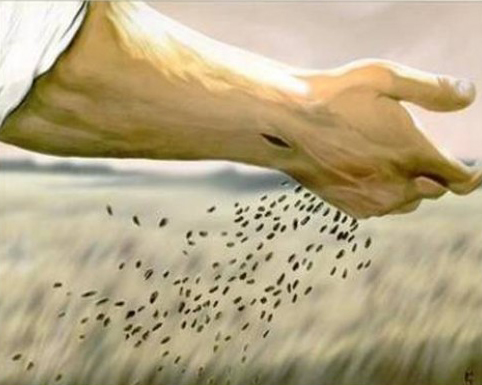 Thứ Tư Tuần 16 Thường niên