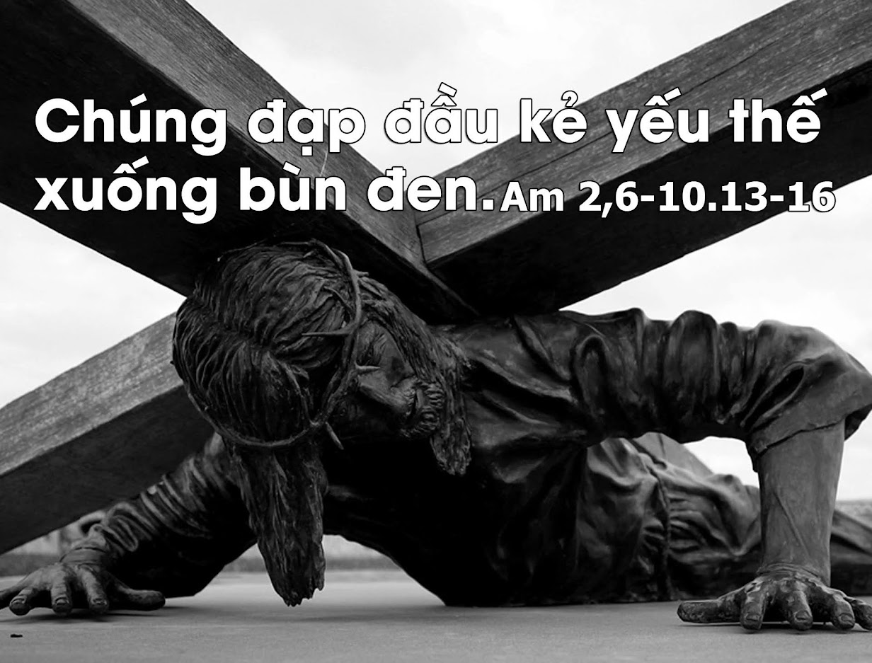 Chúa Nhật XIII Thường Niên, NĂM A: Ai liều mất mạng sống mình vì Thầy…