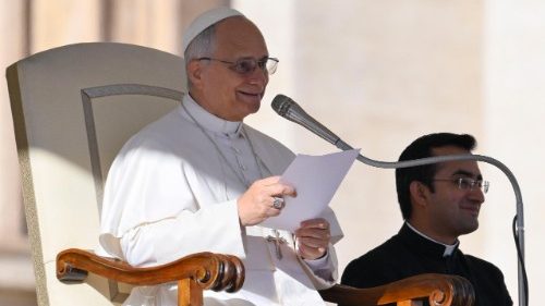 Tiếp kiến chung 19/11/2025 - ĐTC Lêô XIV: Nếu không là người bảo vệ, con người sẽ là kẻ phá hủy công trình sáng tạo