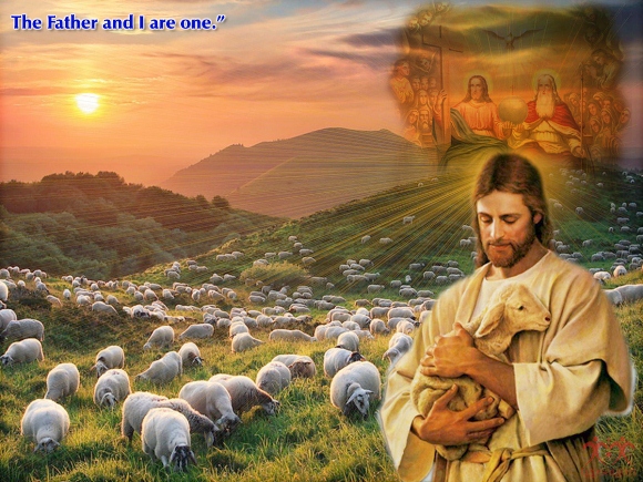 Vui Học Thánh Kinh Chúa Nhật 4 Phục Sinh C