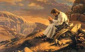 Chúa nhật XVII Thường Niên Năm C