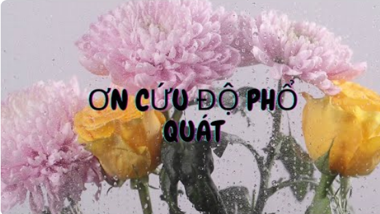 Suy Niệm Lời Chúa CN XXI TN C: ƠN CỨU ĐỘ PHỔ QUÁT