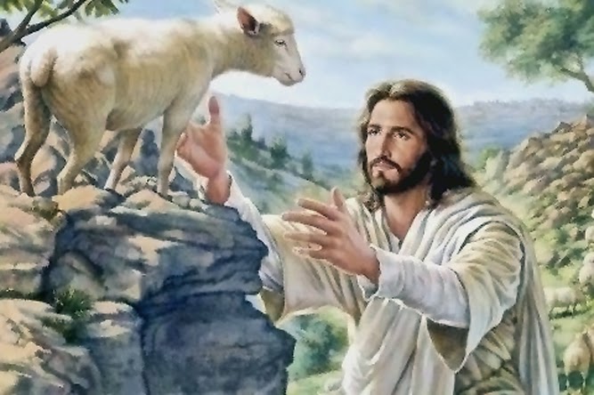 Chúa Nhật IV Phục Sinh, năm A: Tôi đến để cho chiên được sống và sống dồi