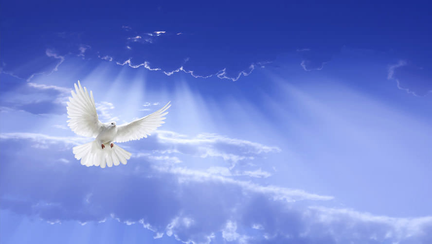 thứ Tư tuần 6 Phục sinh