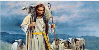 Vui học Thánh Kinh Lễ Thánh Tâm Chúa Giêsu, năm C