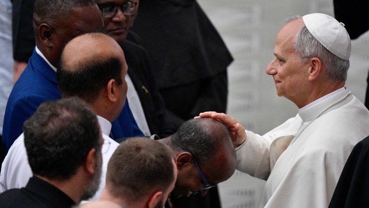 Đức Thánh Cha sẽ gặp những người phụ trách mục vụ ơn gọi trong sự kiện “Linh mục hạnh phúc”