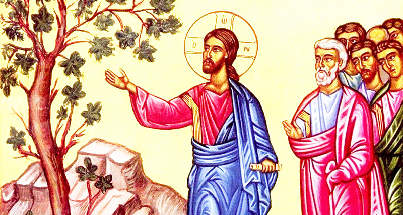 Các bài suy niệm Chúa Nhật VIII Thường niên, năm C: cái rác, cái xà...