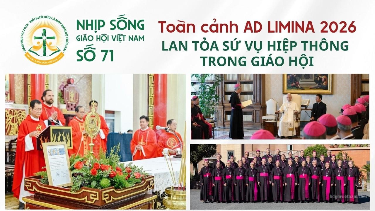 Toàn cảnh Ad Limina 2026 - Lan tỏa sứ vụ hiệp thông trong xã hội - Nhịp sống Giáo hội Việt Nam số 71 (21/4/2026 - 27/4/2026)