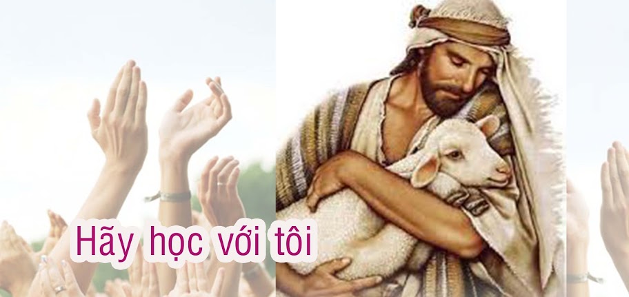 Thứ Năm tuần XV Thường niên: “Hãy học với tôi”