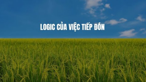 Suy niệm Lời Chúa, Chúa Nhật XIII Thường niên, năm A: Logic của việc đón tiếp