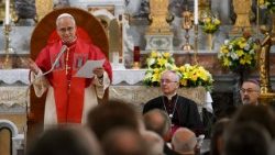 Tông du Thổ Nhĩ Kỳ (28/11): Gặp Giám mục, linh mục, tu sĩ nam nữ và nhân viên mục vụ