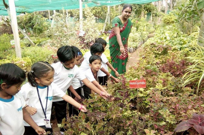Những bài tập hè thú vị cho phụ huynh Ấn Độ dạy con