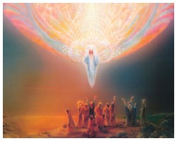 Giáo xứ và Hội đồng Mục vụ Giáo xứ