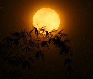 Ý nghĩa chữ Mùa Thu và Thiên Thu trong Kinh Thánh và ngoài đời